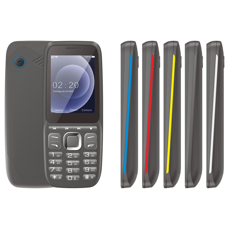 RG2401 GSM Bar Feature Phone